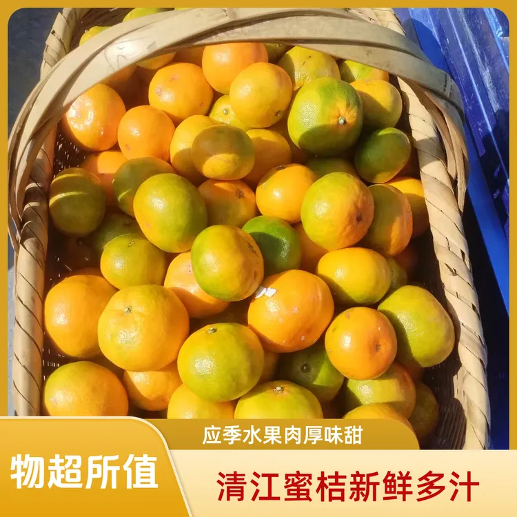 【顺丰快递】湖南东江湖蜜桔新鲜现摘当季水果清江蜜桔皮薄汁多化渣