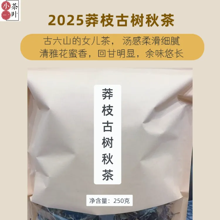 [莽枝古树秋茶]2025莽枝古树秋茶 生普散料 香扬水柔甜 250克