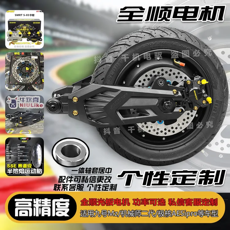 极核AE5/AE5i/AE5ipro后轮套装九号MZ/NZ后轮武神仕平叉可调专装