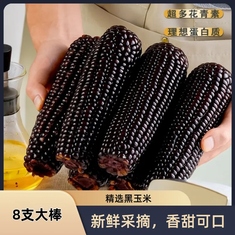 黑玉米8支大棒/箱净重4-5斤软糯香粘真空包装25年头茬东北玉米