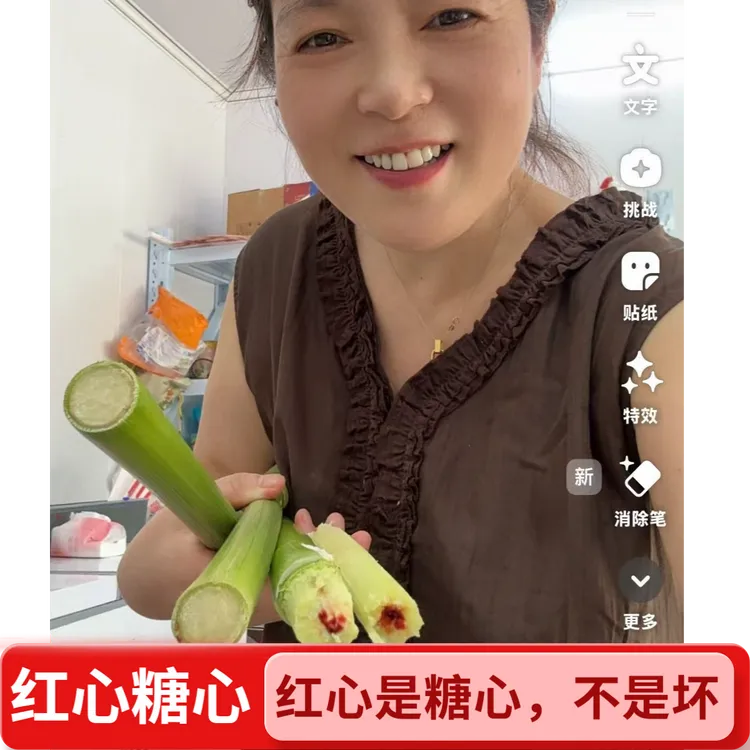 【爆款】崇明甜芦粟小甜杆甜高粱5-10斤装（带外壳）红糖心 现砍发货