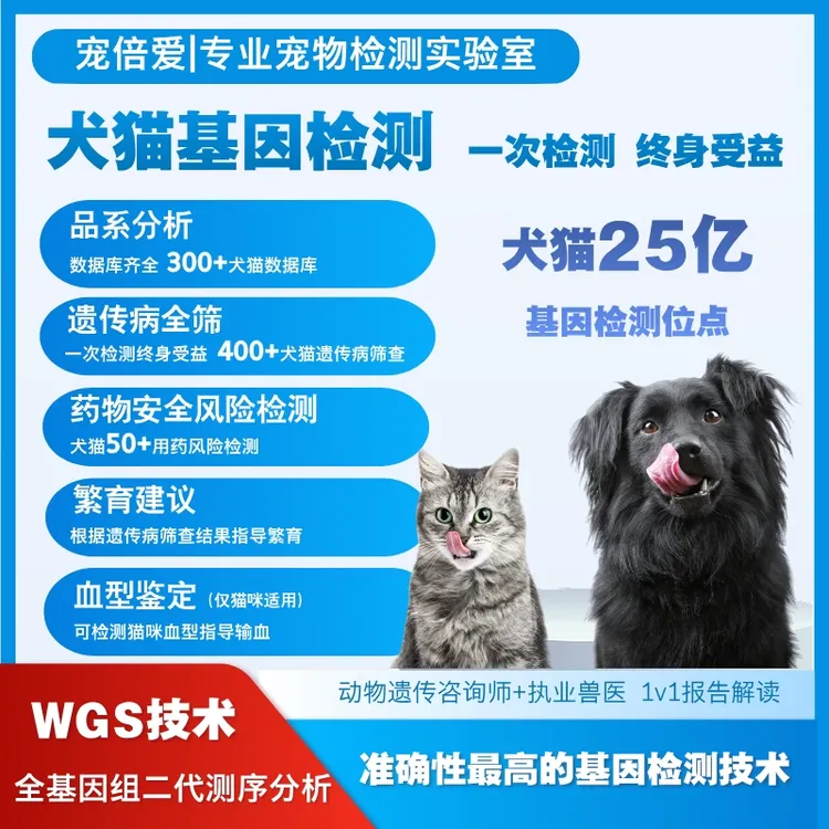 宠倍爱猫狗宠物基因检测品系血统繁育检测WGS技术DNA【送检