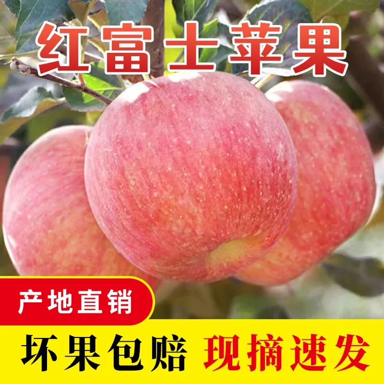 【农户直发】山西冰糖心红富士丑苹果脆甜多汁应季现摘现发新鲜水果