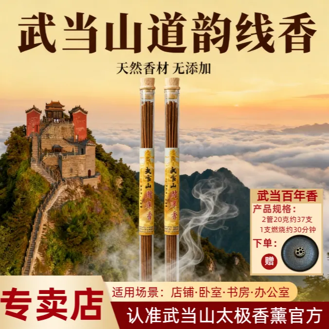 武当山太极财库香天然线香中式香薰