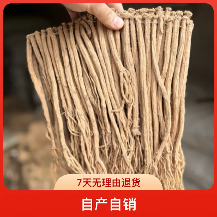 甘肃渭源自家党参中条  泡茶养生