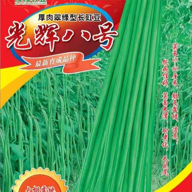 茂柳光辉八号厚肉型长豇豆蔬菜翠绿色春秋播种荚长65-80左右