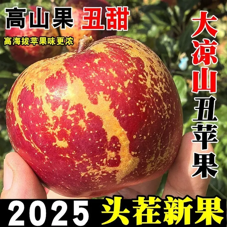 【果农自卖拒绝假货】四川高原丑苹果脆甜多汁冰糖心红富士新鲜水果