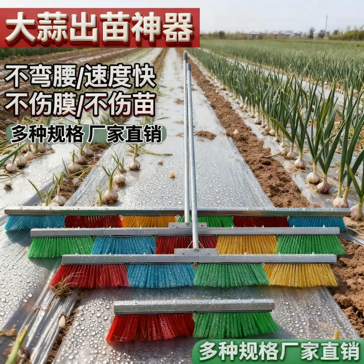 【轻松破膜】不弯腰大蒜破膜用工具推芽神器蒜苗出苗刷大蒜出苗刷子