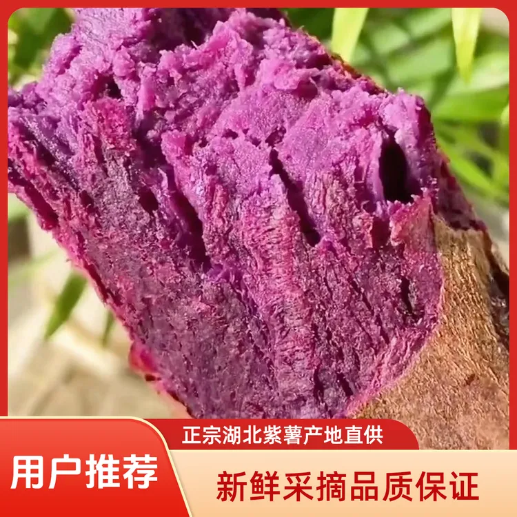 正宗湖北紫薯新鲜红薯番薯地瓜新鲜采摘粉糯紫薯健康粗粮