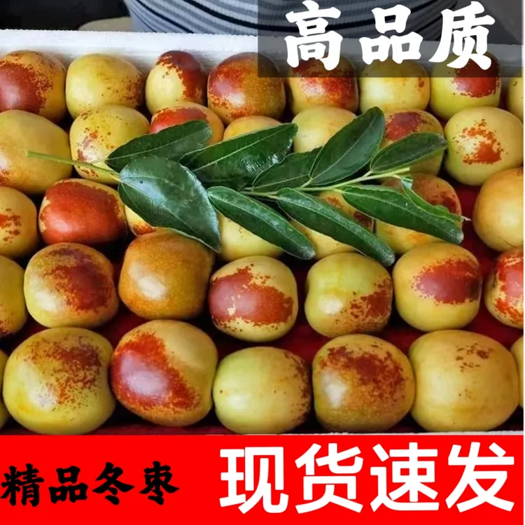 【高品质包邮】脆甜沾化冬枣冰糖冬枣爆甜多汁大枣新鲜水果3/5斤