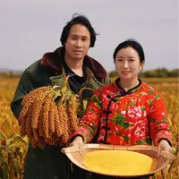 内蒙古敖汉小米金苗K1敖汉旗新米5斤软糯米油浓郁辅食孕妈煮粥