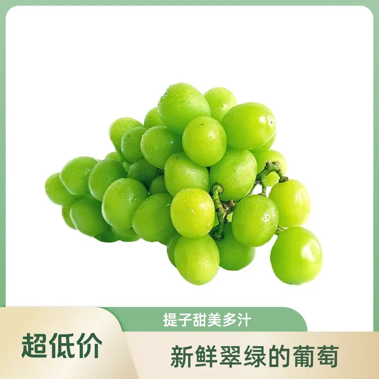 大连新开园精品晴王葡萄新鲜爽口