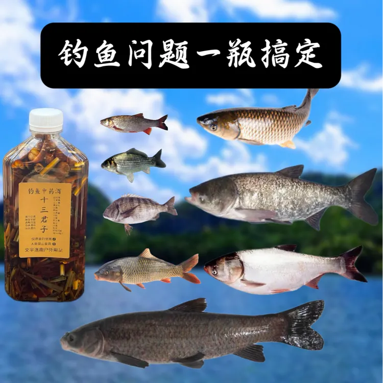钓鱼问题一瓶搞定，钓鱼十三君子药酒。