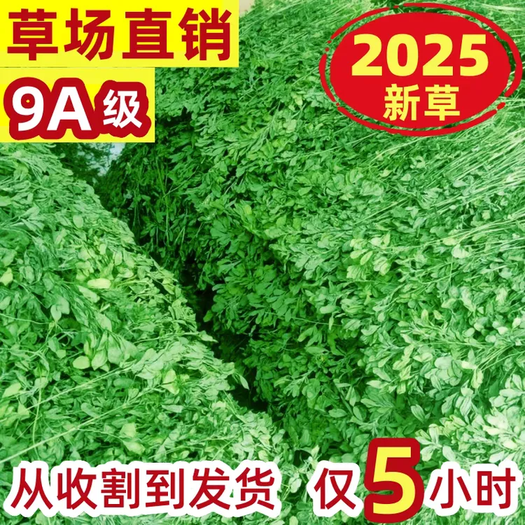 2025新烘干苜蓿草干草新鲜兔草龙猫荷兰猪牧草饲料幼兔粮草苜宿草