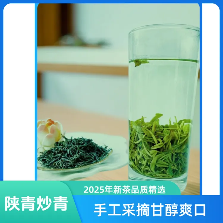 【2025炒青】陕青高山品质精选青绿浓香型茶明前栗香味浓滋味醇和