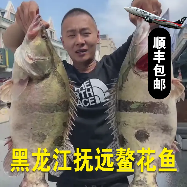 东极抚远熬花鱼顺丰包邮