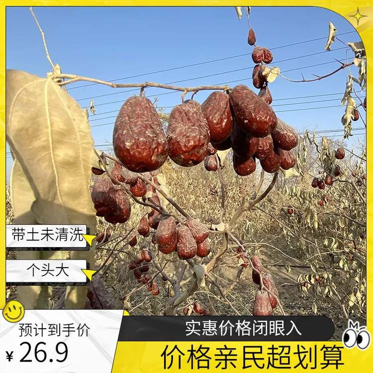 新疆带土和田大枣骏枣红枣大枣1斤2斤3斤装清甜饱满肉质浓郁食用
