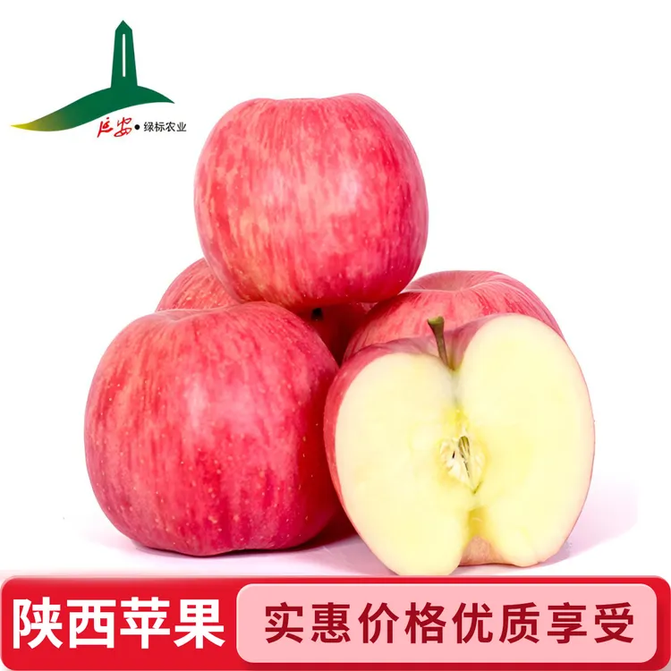 中果【京东包邮】正宗当季新鲜陕西洛川红富士糖心苹果红肉阿克苏