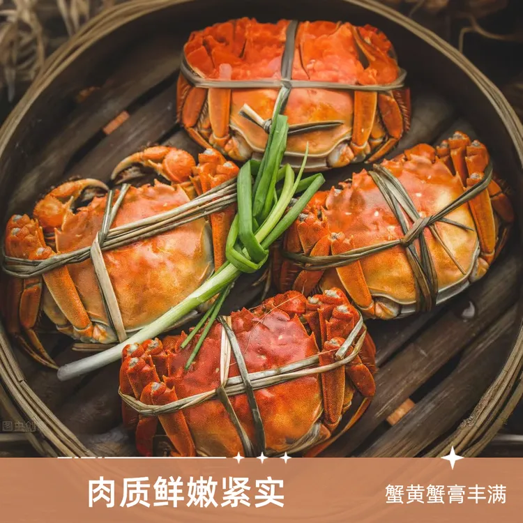 {活蟹}盘锦河蟹全母3斤产地直发鲜香肥美只只保肥包活1.3-1两