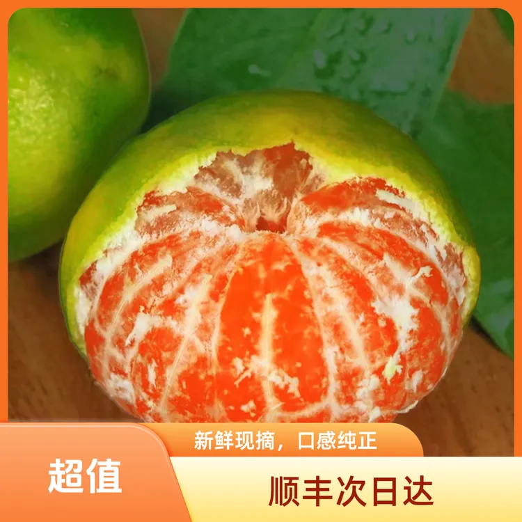 顺丰直达【浙江蜜桔】正宗浙江临海高山特早蜜桔新鲜橘子青皮蜜桔