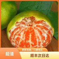 顺丰直达【浙江蜜桔】正宗浙江临海高山特早蜜桔新鲜橘子青皮蜜桔