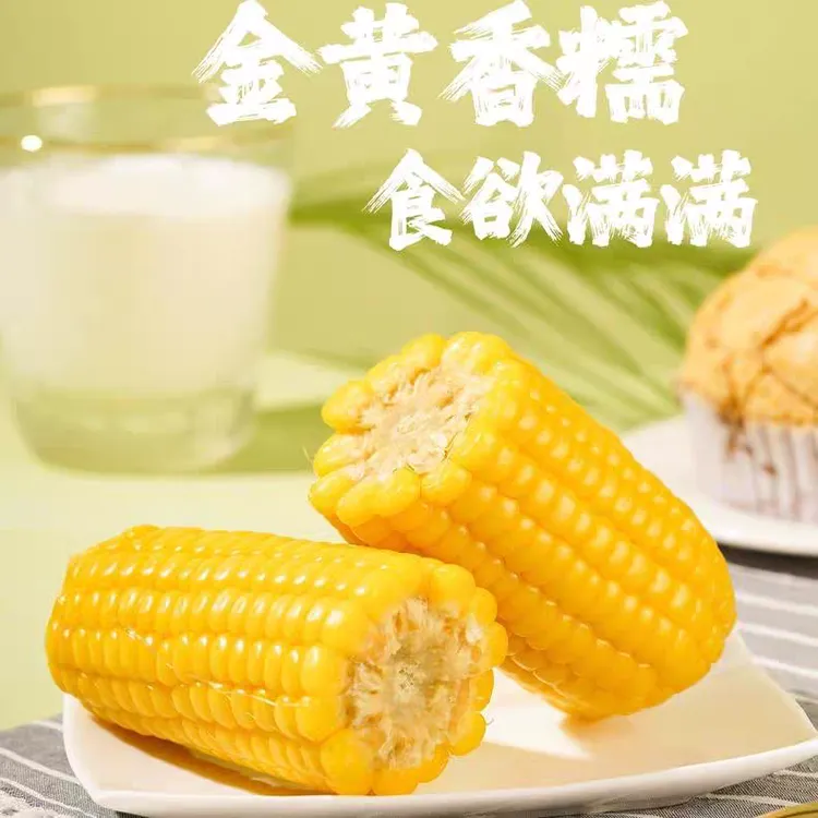 【福利款】内蒙古玉米甜糯玉米儿童棒好吃包邮到家