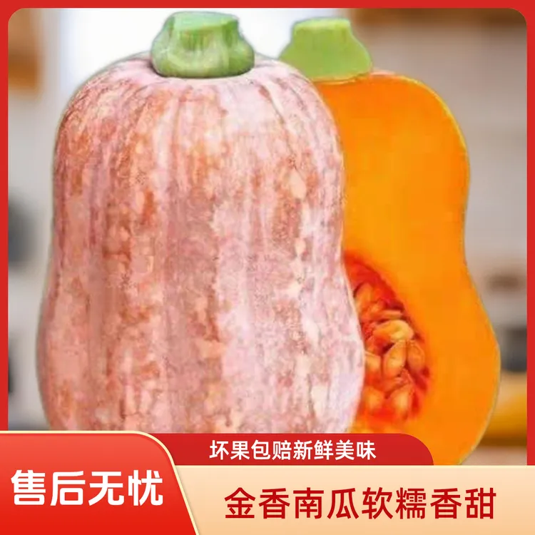 坏了包赔河南当季新鲜现摘金香南瓜软糯香甜农家自种花生老南瓜