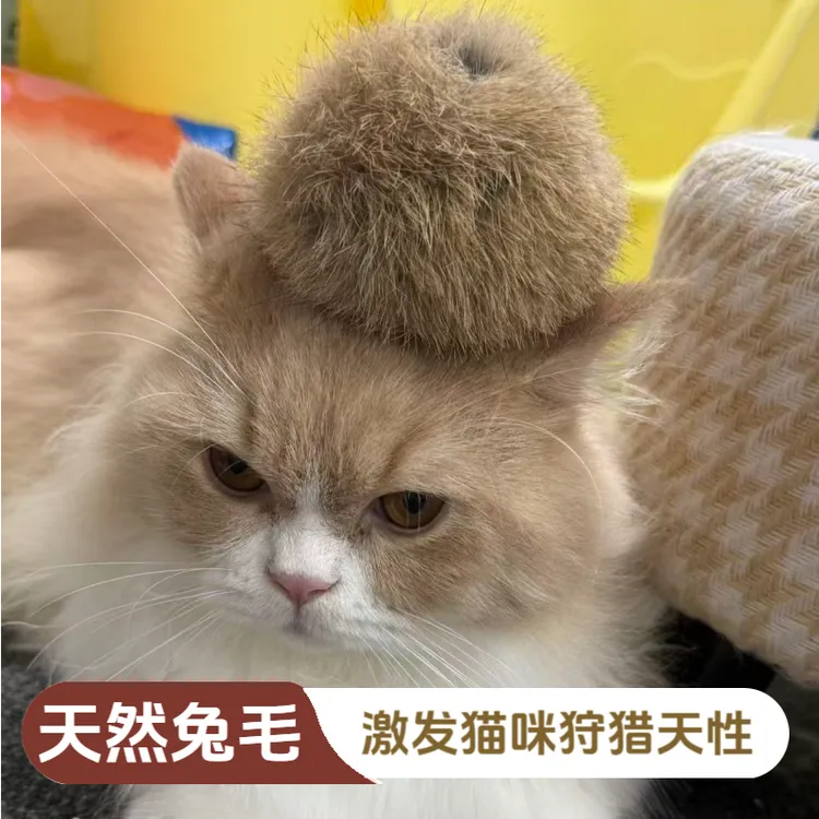 猫玩具兔毛球天然真毛逗猫球内置猫薄荷互动宠物自嗨玩具解闷玩耍