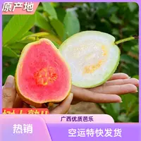 【空运特快】广西白心冰淇淋芭乐红心芭乐番石榴5斤软硬皆可吃