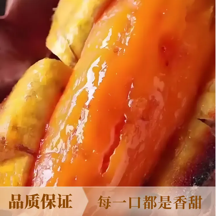 山东农家沙地地瓜/红薯/甘薯/山芋/番薯/烤地瓜香甜流油/