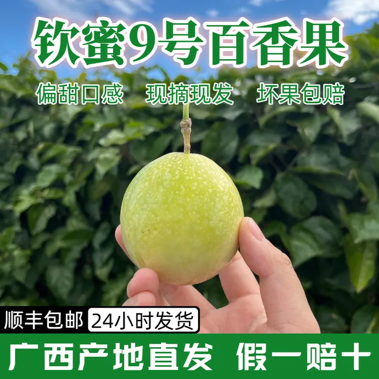 正宗钦蜜9号百香果苹果黄金百香果广西新鲜大果富含维C