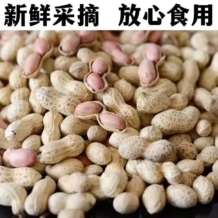 湖南宁远本地小籽花生