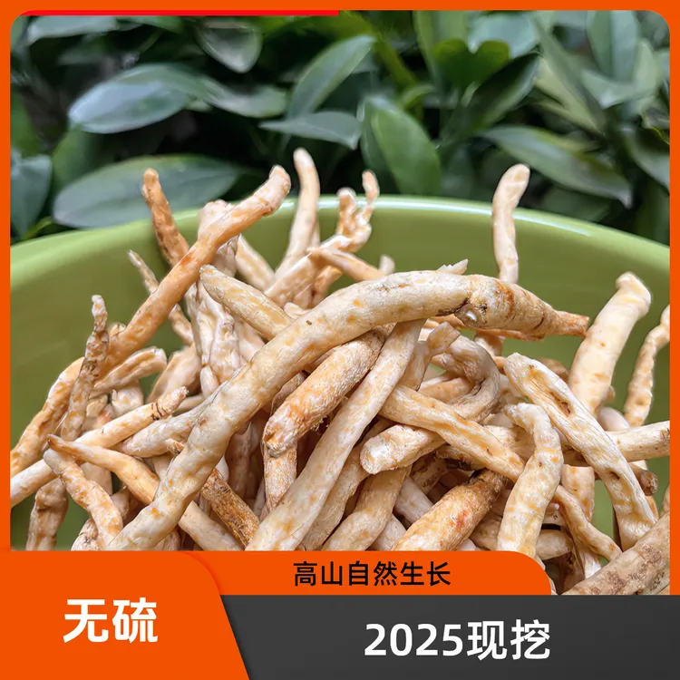 巴中特产沙参，川明参，无硫自然晒干营养滋补