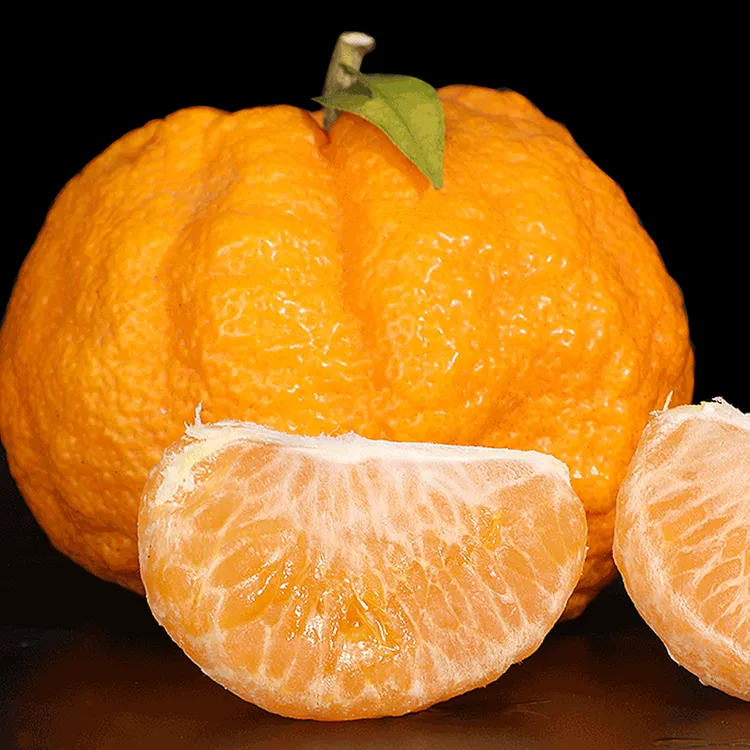 【代买山货】现摘现发柑子（小中果）