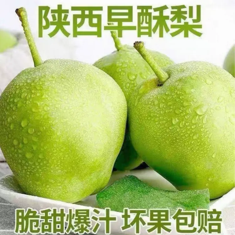 陕西早酥梨新鲜应季现采现发脆甜多汁水果