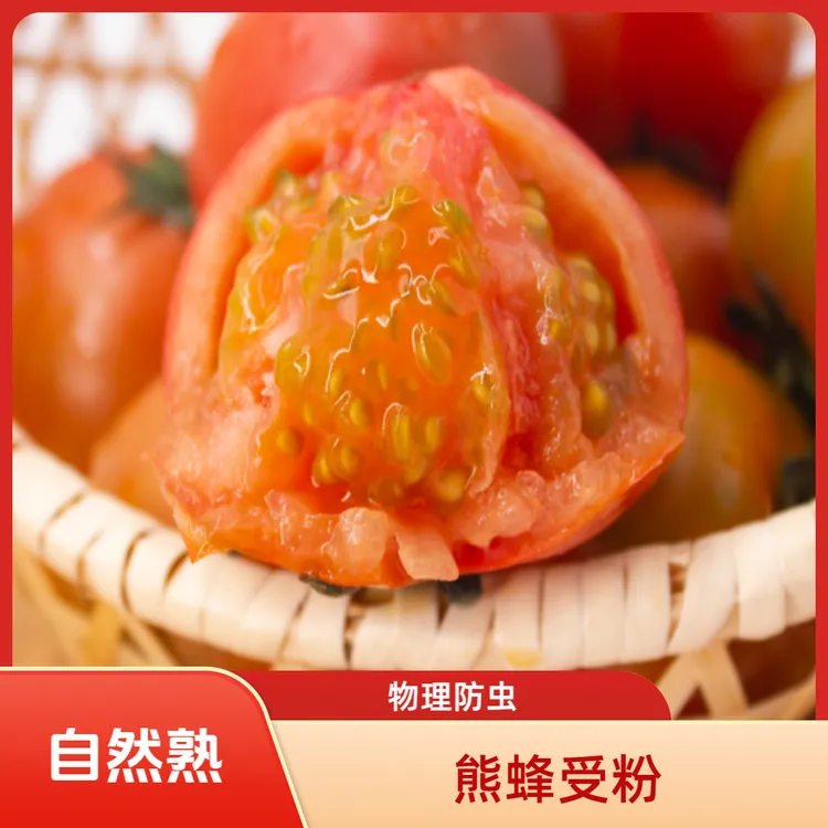 免费试吃笠鲜生蜂柿口感番茄西红柿自然成熟高品质小番茄酸甜可口