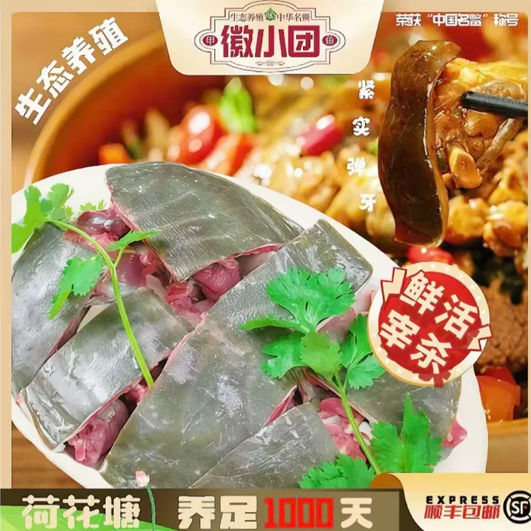 生态荷花塘现杀甲鱼去皮去内脏新鲜甲鱼肉顺丰包邮