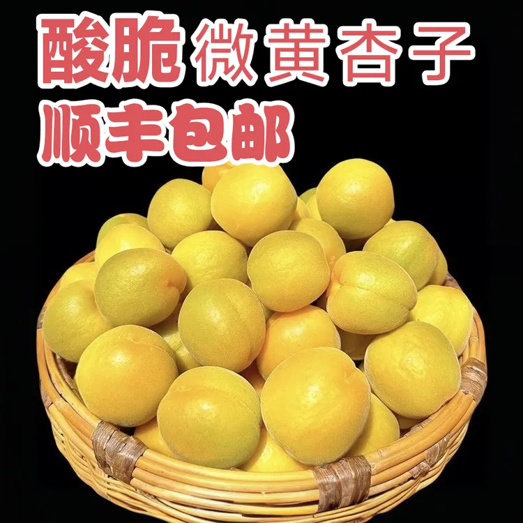 【顺丰包邮】山西大黄杏半黄半青杏子微黄杏酸脆孕妇水果金太阳杏子