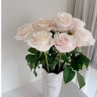 【辛西娅】云南鲜花基地直发玫瑰花生活鲜花家庭养花拍三单送花瓶