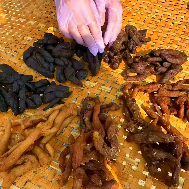 精选九蒸九晒古法蒸晒余粮拍一斤发一罐红枣一袋组合茶