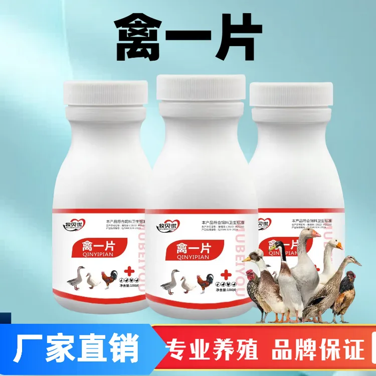 禽类养殖鸡鸭鹅禽类通用添加剂禽一片四季养殖常备厂家直发正品