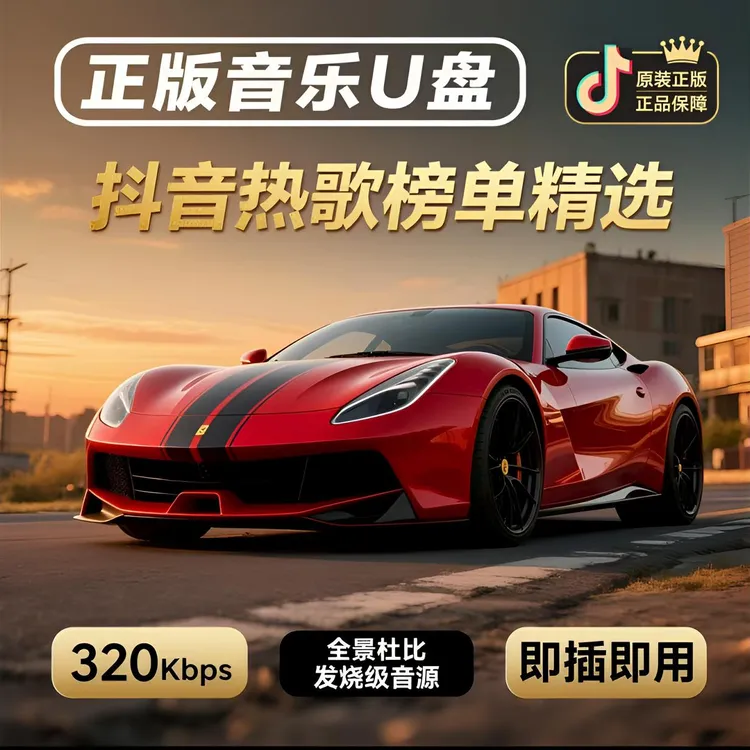 【正版授权】2025柏林之音1500高品质黑胶芯片车载U盘黑胶原声至臻