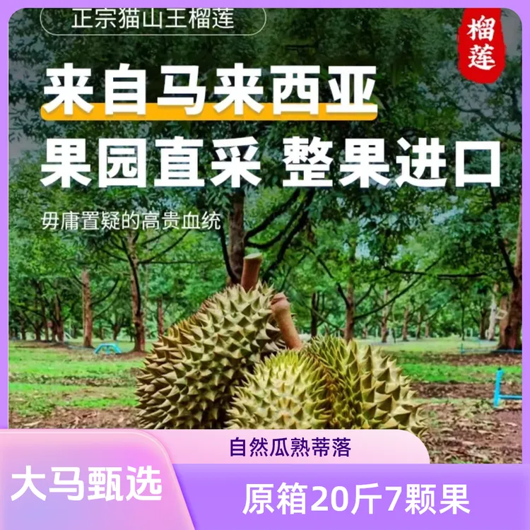 马来西亚D197猫山王整箱当季20斤7颗果聚会团聚家人分享液氮顺丰