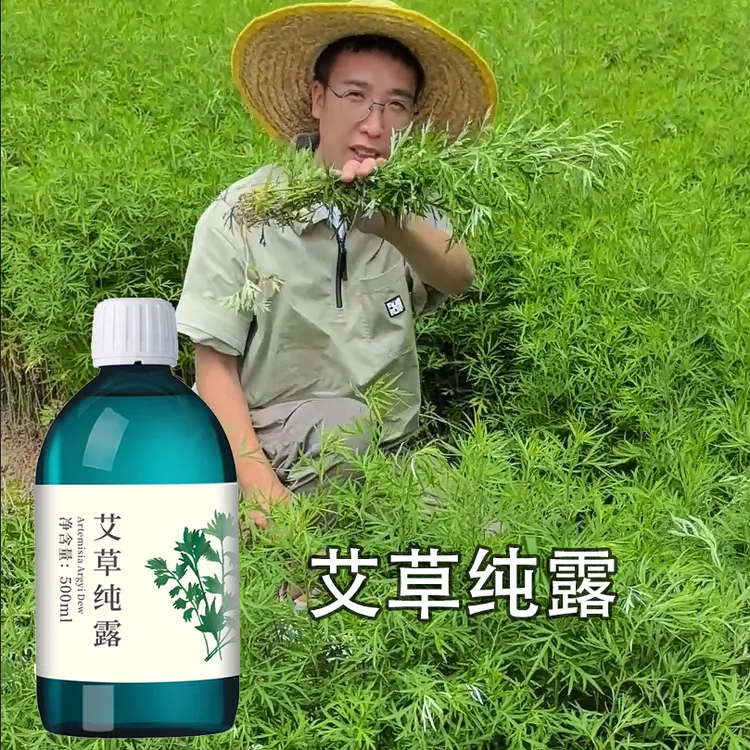 丸蔻野生艾草纯露收缩毛孔黑眼圈细纹天然植物油花水补水500ML