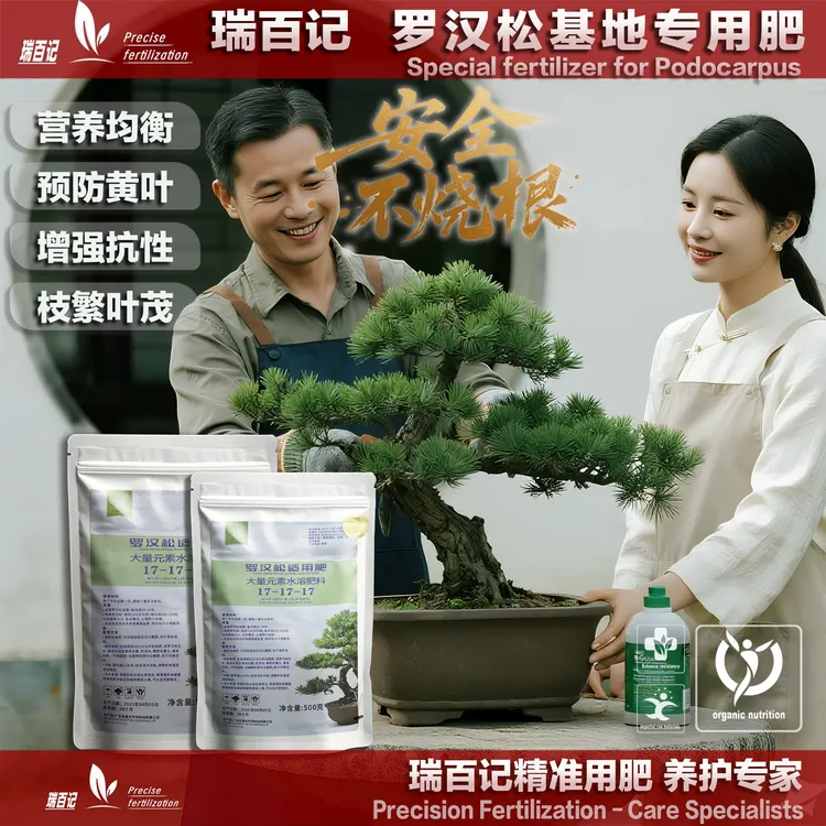 瑞百记罗汉松专用水溶肥料罗汉松基地专用不烧根防黄枯落