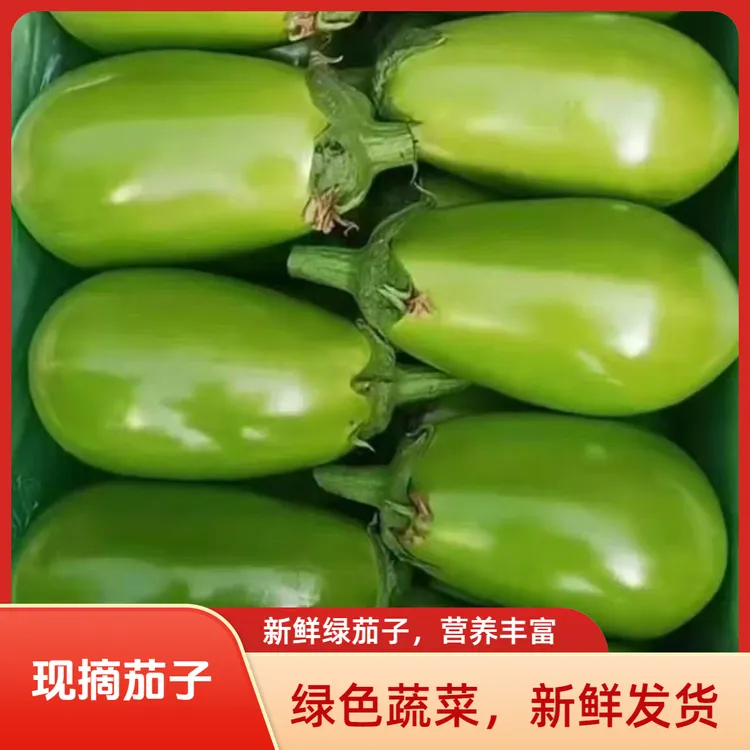 河南农家现摘时令新鲜蔬菜薄皮青皮茄子农家自种大号青茄子可生吃