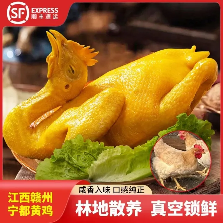 赣当家 1100g/只梅州正宗五指毛桃盐焗鸡手撕鸡麻椒鸡河田鸡半价！