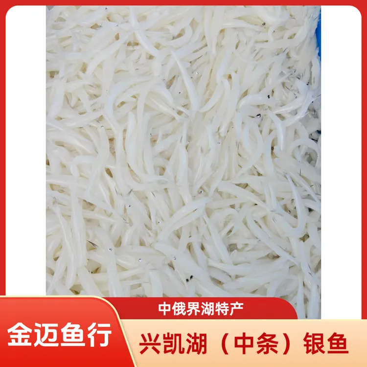 兴凯湖淡水中条银鱼·黑吉辽京津冀顺丰包邮
