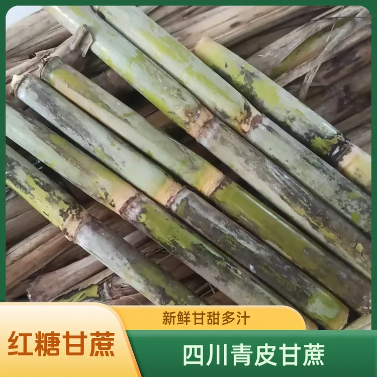 正品70年代老式甘蔗新鲜青皮甘蔗四川特产脆甜多汁绿皮甘蔗水果