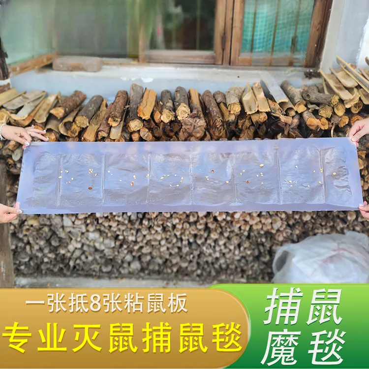 隐形粘鼠板捕鼠器魔毯强力加诱饵大号贴灭鼠魔毯正品抓老鼠胶捕鼠